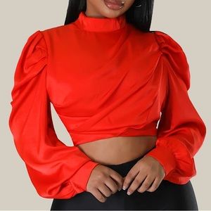 Lantern Sleeve Blouse